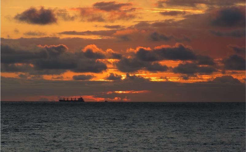 Estrategias Verdes para Ecosistemas Azules