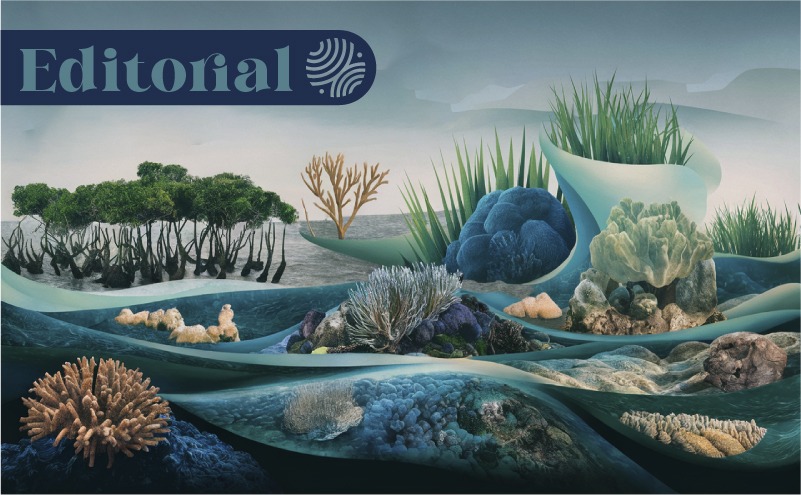 Nature-Based Solutions