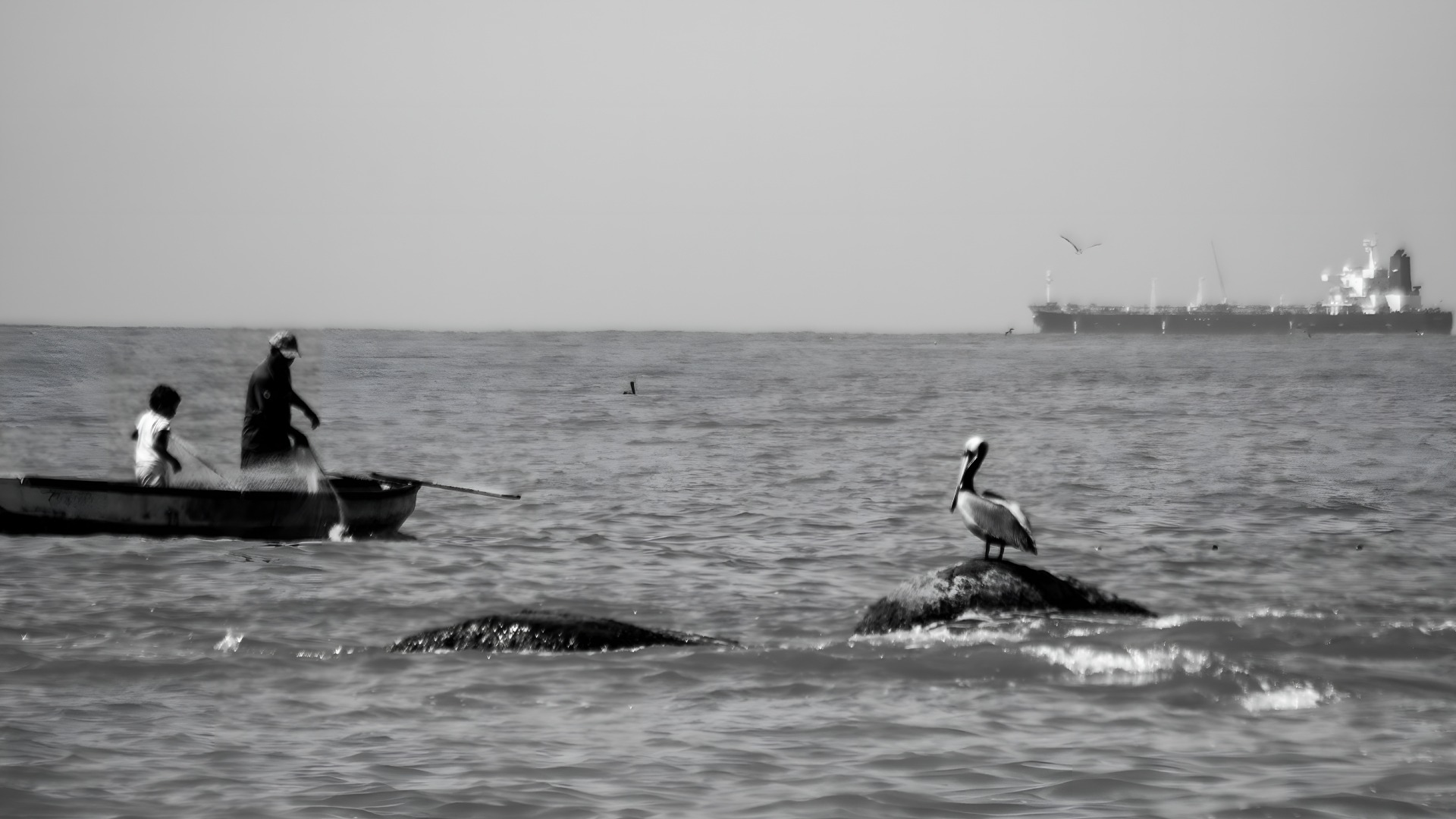 Compartiendo la Pesca