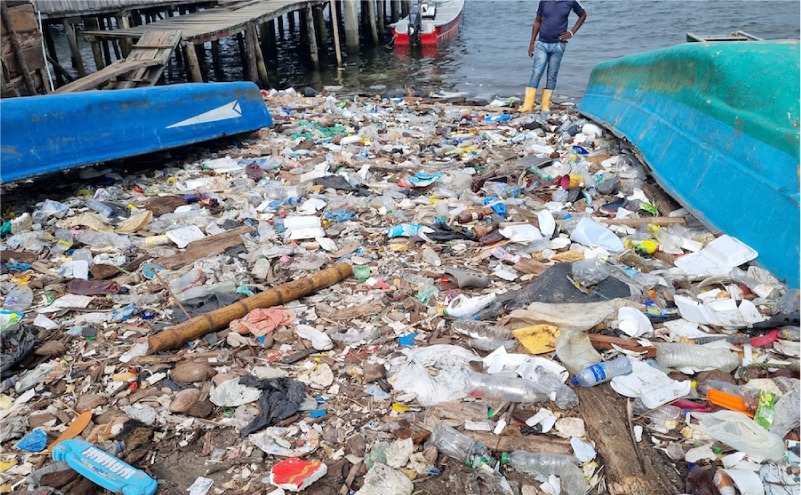contaminación macroplástica en las costas